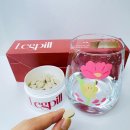 필약국 | 전후 사진) 레그필 내돈내산 4주 리얼 후기! 종아리 부종에서 벗어난 변화 솔직 후기