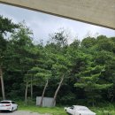 더그릴벙커 이미지