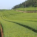 비울채울 이미지