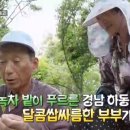 화도로 52 이미지