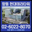 테라디앤씨 네이버블로그
