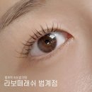 안양범계속눈썹 연장 라보떼래쉬 자연스럽게 이뻐지는 펌앤내추럴연장 후기
