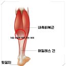 부천중앙공원 농구장