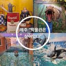박물관은살아있다 | 제주 실내 액티비티 "박물관은 살아있다" 내돈내산 후기 가족여행 아이와 가볼만한 곳 놀거리 추천