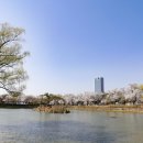 영남대학교 이미지