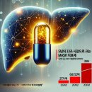노다지 이미지