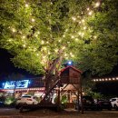 강촌장어집 이미지