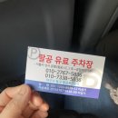 동백팔공 | 2박3일 제주 여행_첫째날