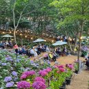 내가본꽃씨 이미지