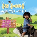 홍천 놀거리 홍천동키마을 방문 후기
