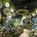 두호공용주차장 | [Wedding #4] 서울 웨딩홀 투어🫧 더뉴컨벤션 더뉴홀 투어(2025년 하반기 견적 공유/계약O)