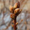 진주 청곡사 목조제석천ㆍ대범천의상 | 진주, 월아산 청곡사(靑谷寺)에 가다.