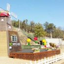 에코새싹유치원 이미지