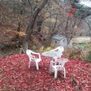 숲이랑농원 이미지