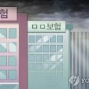 쏘아 이미지