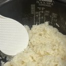 은호축산 | 2025 10월 일상 - 2부