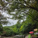 무주해바라기펜션호스텔 | 무주숙소추천, 친절한 사장님 덕분에 더 기억 남은 해바라기펜션