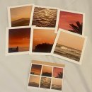 천아트:꽃으로 물들이다 | 제주도 패키지여행 후기!