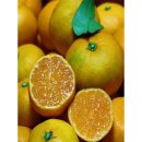 내당농산 이미지