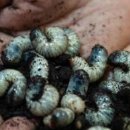 전라도농장 이미지