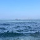 인천 덕적바다낚시에서 왕초보도 가능한 덕적호 배낚시 체험 후기 🎣