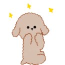 멍애견카페 이미지