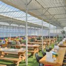 온누리농장 이미지