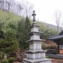 심적사