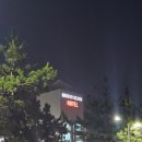 보스코 호텔 | 곽지해수욕장 숙소: 마레보비치 호텔 보스코디럭스 오션뷰 2박 후기