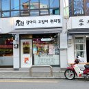 꼬망이펫샵 이미지