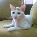 복산동-7 이미지