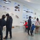 무안황토갯벌랜드 이미지