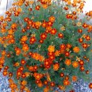 동보농장 이미지