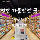 세계로문고 | 천안 모다아울렛 영풍문고 방문 후기