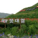 일산중산중산-151 Daum카페
