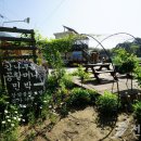 사철나무집민박 이미지