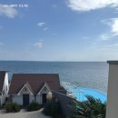TURTLE BAY 펜션 네이버블로그