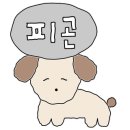 초정힐링캠핑장 이미지