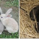 기연농장 이미지