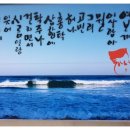 홍어장터
