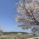 하방천변길 이미지