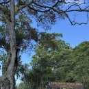 하이눈파크 이미지