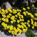 바다별장 이미지