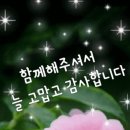 금일 방송 에 초대 합니다..(컬러링)님. 외 1분?? 이미지