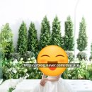 청주 비마이스튜디오 셀렉 후기&amp;촬영 전 고민
