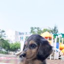 손수의과병원 이미지