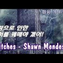 스티치 - 숀 멘데스 [팝송 가사/해석] Stitches - Shawn Mendes | Pop Song, Lyrics 이미지