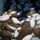 예당식육점 이미지