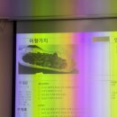 연유아카데미