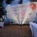 靑龍의 비상 이미지